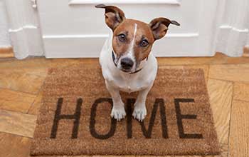 NY Home Security Systems NY Home Security Systems